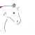 Foto del perfil de AdminCABALLOS